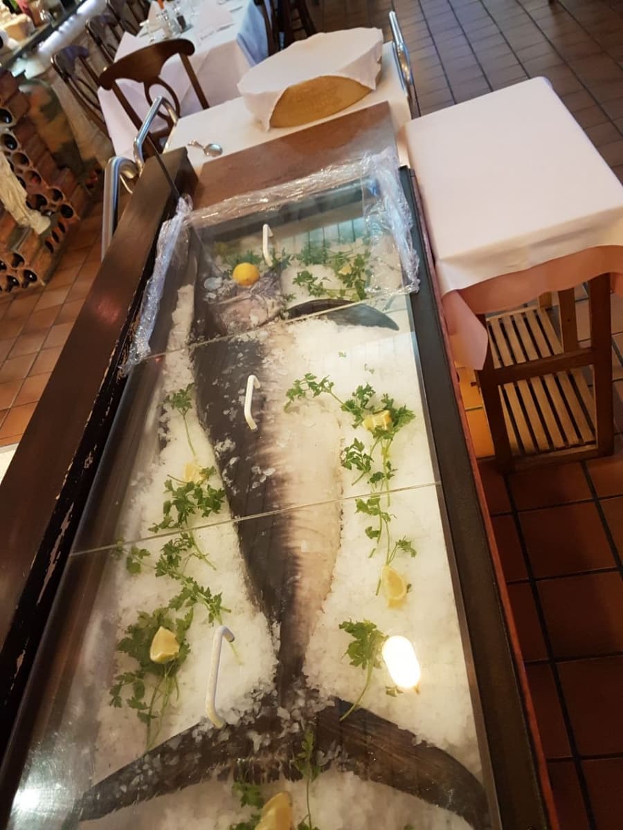 pesce